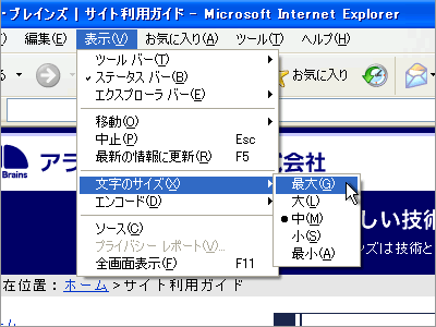 Internet Explorer̃c[o[BTCY̕ύX@B